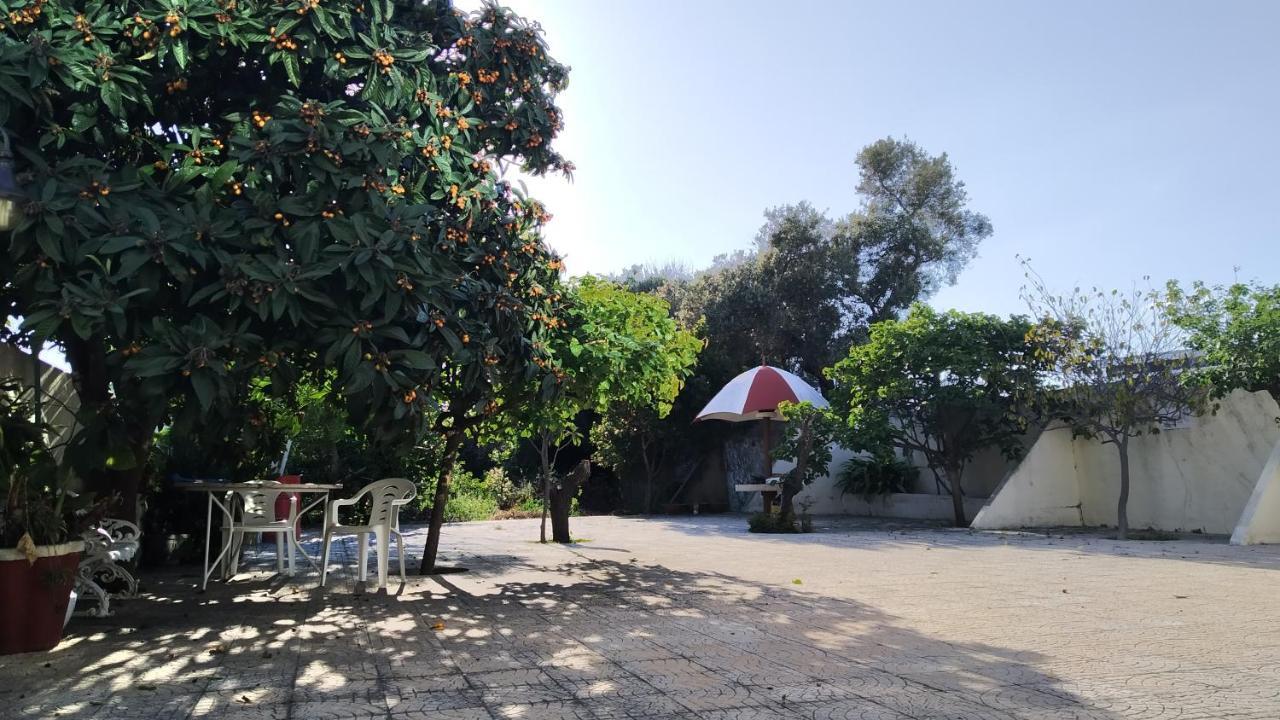 Forever São Brás São Brás de Alportel Esterno foto